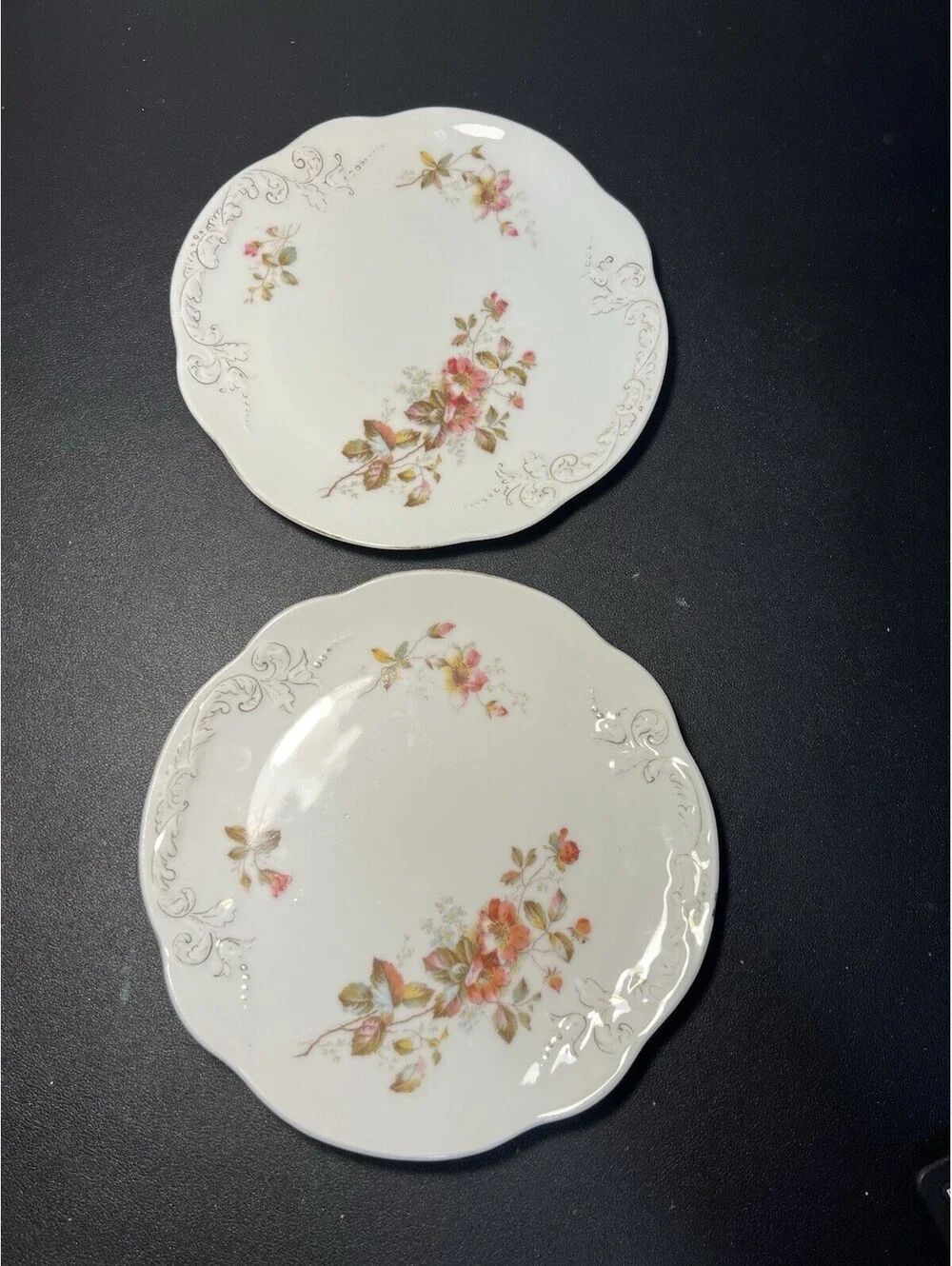 Austria Antique 1900s Set Of 2 Salad Plates Wild Rose Silver Scroll, 8”